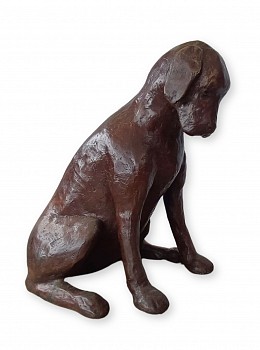 wilma cruise pup zara gkac