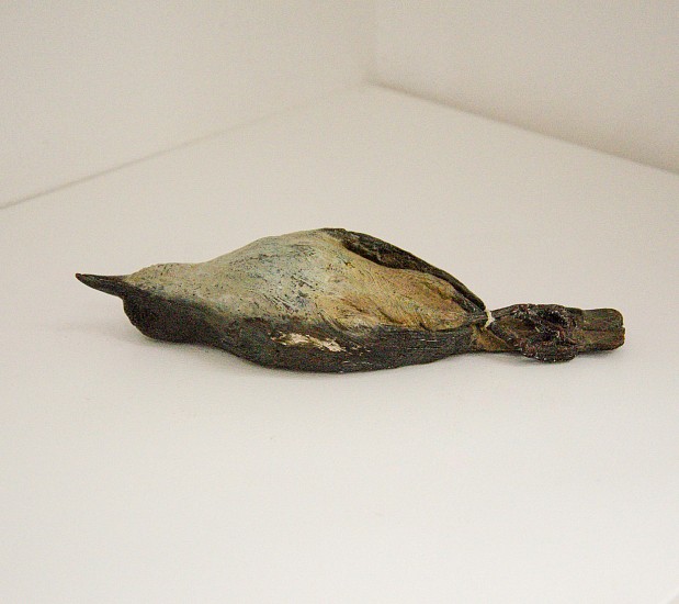 Robbie Leggat, Southern Boubou Shrike Skin (The Eternal Sleep)
bronze