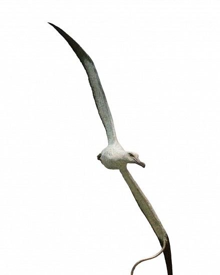 Robbie Leggat, Wandering Albatross
bronze