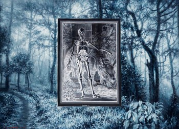 a forest for miss clara