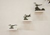 robbie leggat arctic terns detail 3