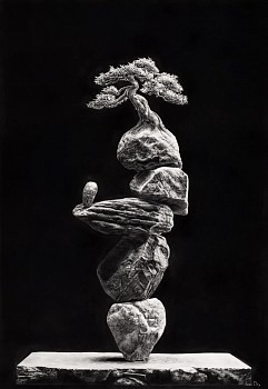 jono dry balance 2025.jpeg