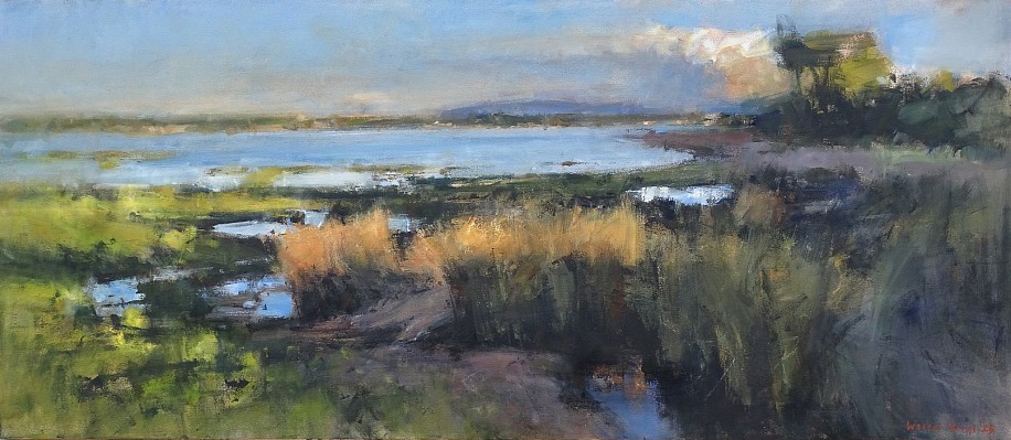 Walter Voigt, Vlei Sunset, Keurbooms
oil on canvas