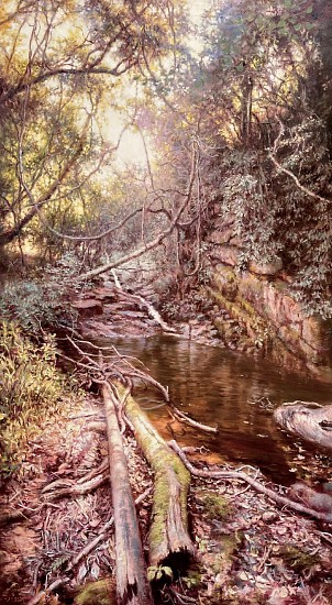 Jaco van Schalkwyk, Magoebaskloof
Oil on Belgian linen & installation frame