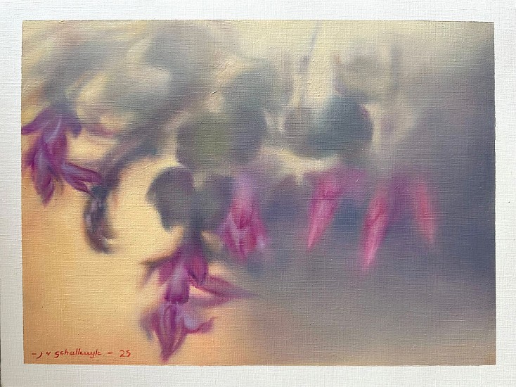 Jaco van Schalkwyk, Soft Bloom
oil on paper
